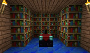 Minecraft Enchantment Table Surrounded With Bookshelves