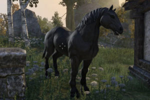 Elder Scrolls Online (ESO) - Complete Horse Guide