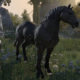 Complete Horse Guide for The Elder Scrolls Online (ESO)