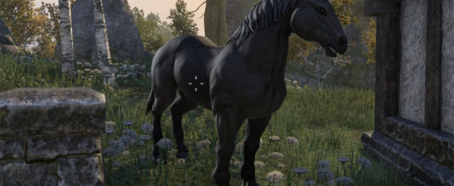 Elder Scrolls Online (ESO) - Complete Horse Guide